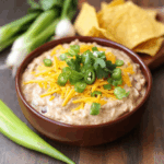 Slow Cooker Bean Dip