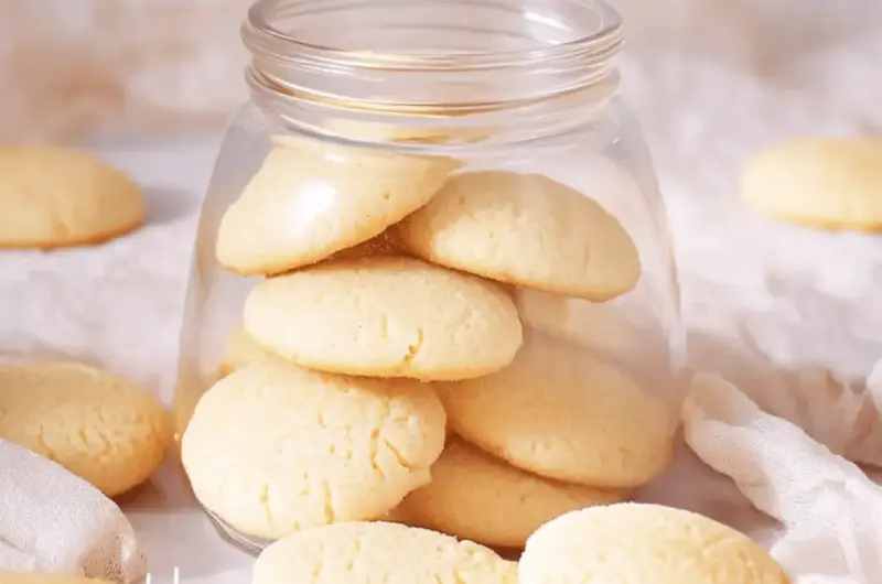 Vegan Nilla Wafers
