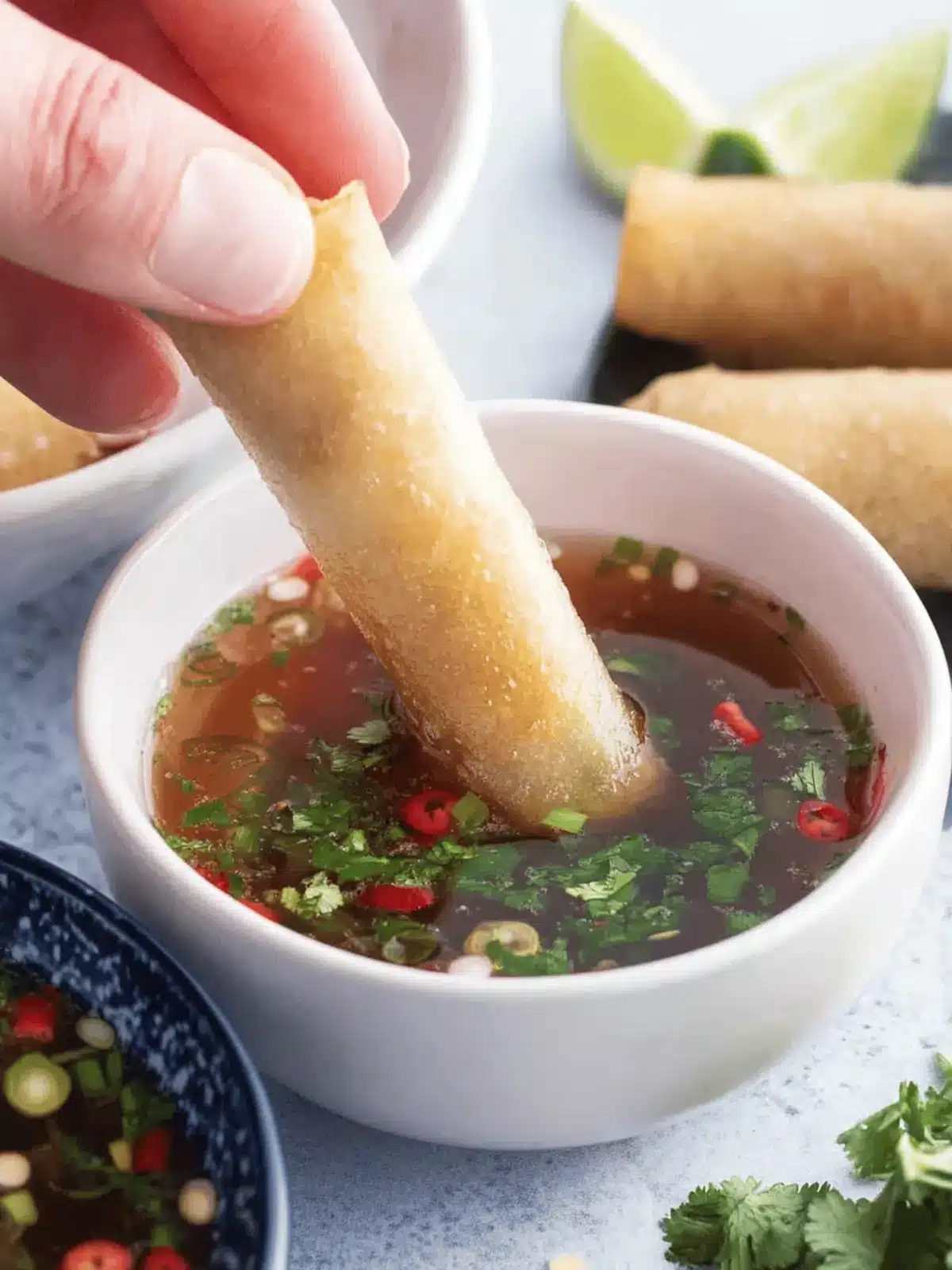 Vietnamese Fish Dipping Sauce