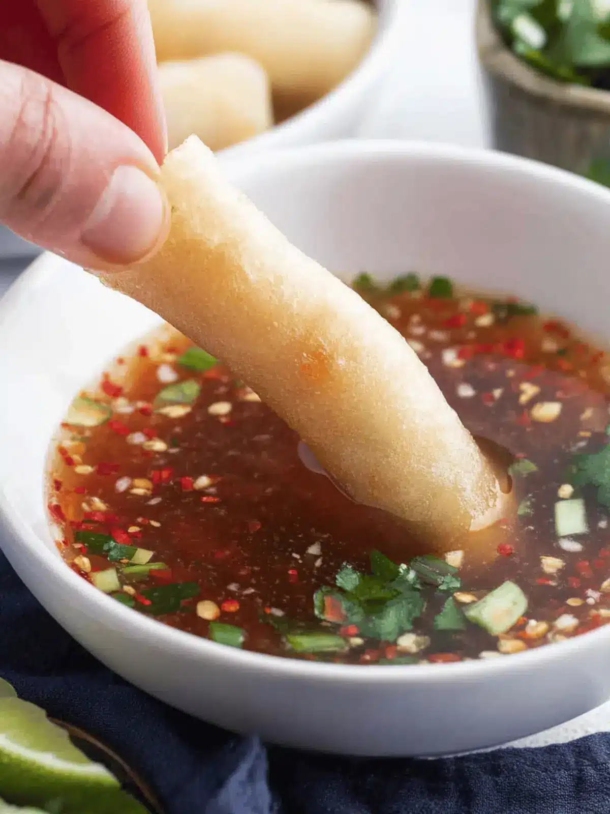 Vietnamese Fish Dipping Sauce