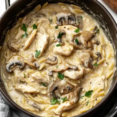 Comforting Creamy Mushroom Chicken Orzo for Cozy Nights 9 Creamy Mushroom Chicken Orzo